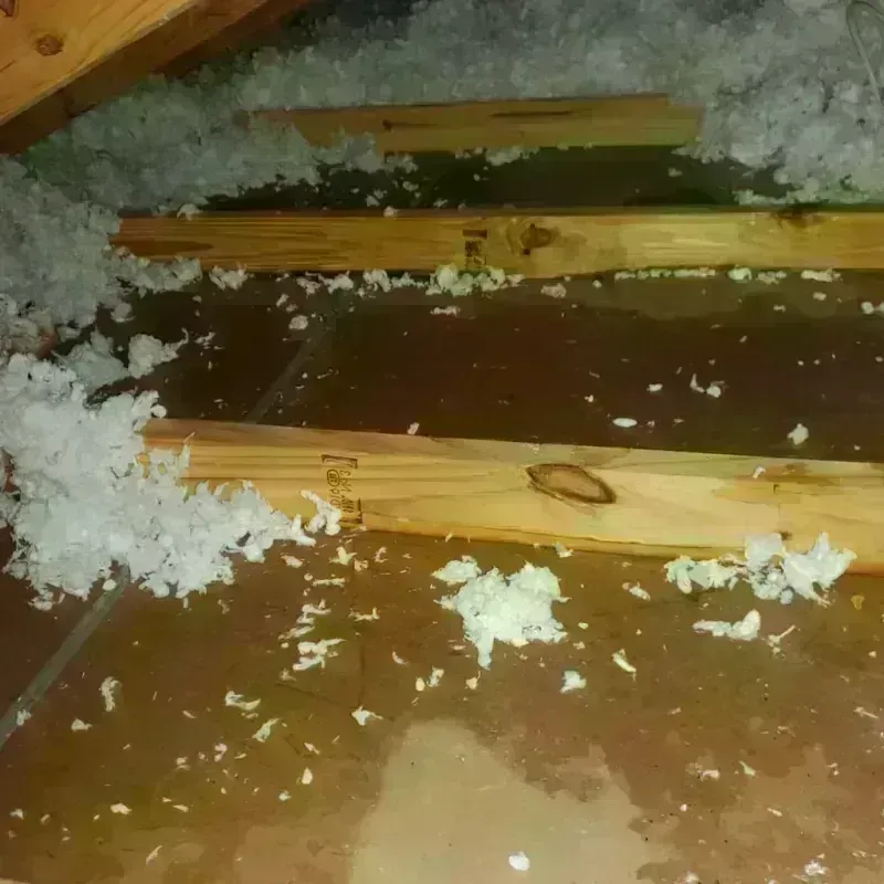 Attic Water Damage in Columbus, MS