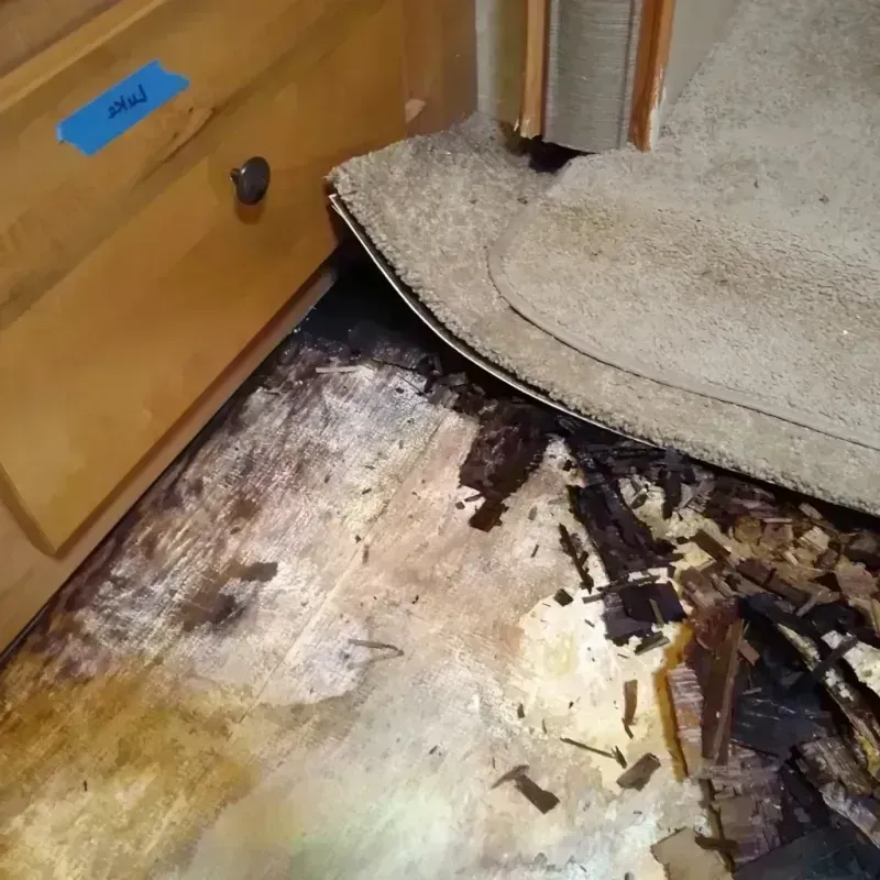 Wood Floor Water Damage in Columbus, MS